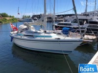 LM mermaid 270