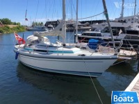 LM Mermaid 270