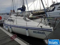 Hunter Hunter Horizon 26