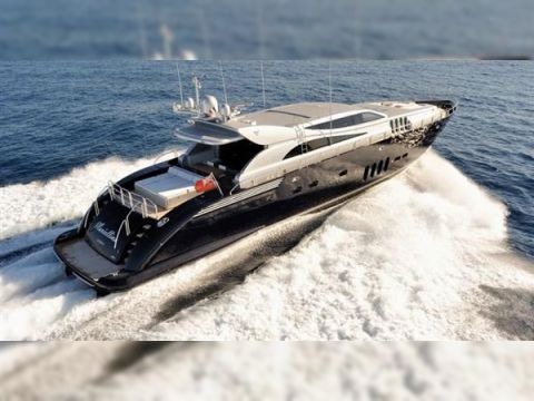 Buy 2010 Arno Leopard 34