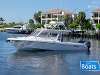 Everglades 350LX
