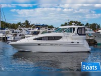 Sea Ray 39 Motor-yacht