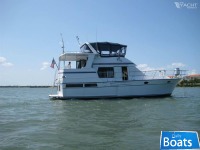TransWorld Trawler