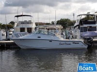 Mako 284 WA