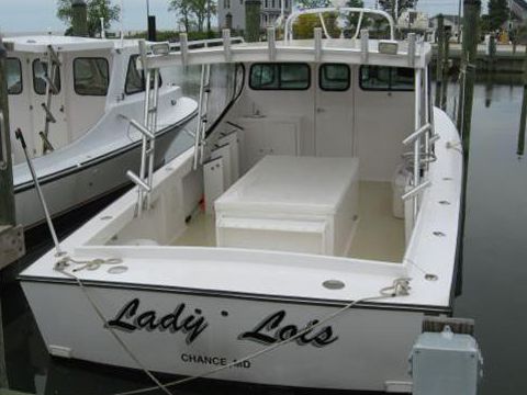 2010  Chesapeake Custom