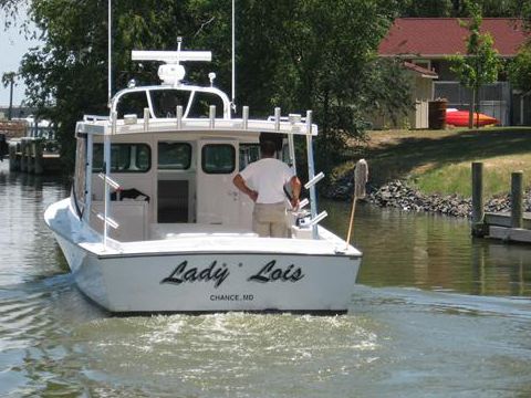 Купить 2010 Chesapeake Custom