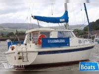 Westerly Westerly Konsort Duo
