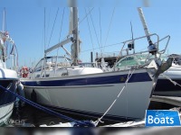 HALLBERG RASSY37