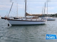 Vineyard Vixen 34