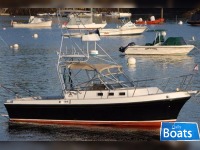 Albin 28 TE