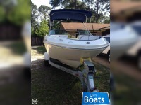 Sea Ray 20