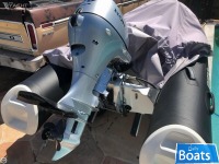 Brigg 11