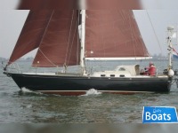 Koopmans 39