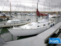 Contessa 26