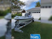 Ranger Boats 17