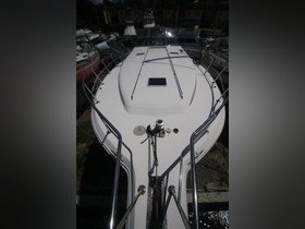 1995 Sea Ray Boats 500 Sundancer