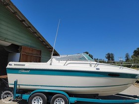 1991 Seaswirl 220 Walkaround