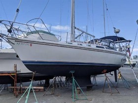 1988 Catalina Yachts 34 til salgs