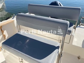 2021 Capelli Boats 19 zu verkaufen