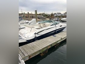 2012 Sea Ray Boats 260 Sundeck satın almak