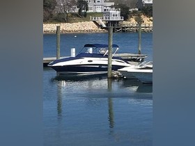 2012 Sea Ray Boats 260 Sundeck satın almak