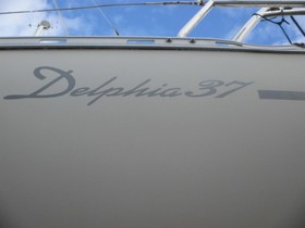 Delphia 37