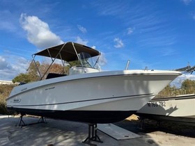 2010 Boston Whaler Boats 250 Outrage