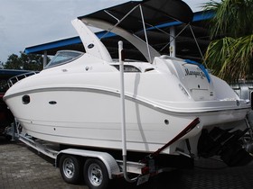 2010 Sea Ray Boats 260 Sundancer