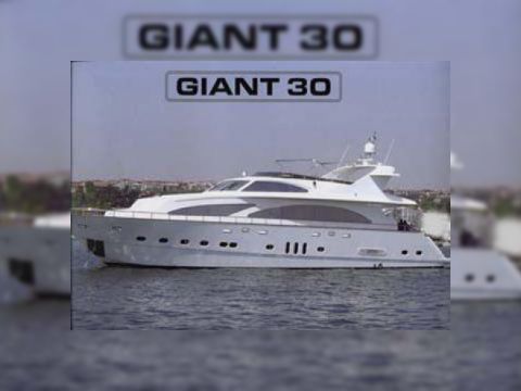 Giant 2006