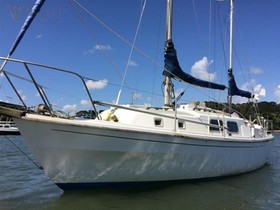 Westerly Renown 31