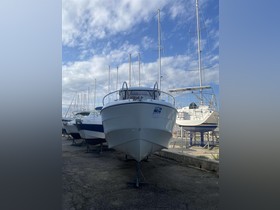 2020 Barracuda 7 kopen