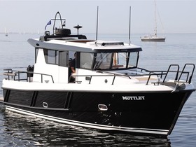 Sargo 33