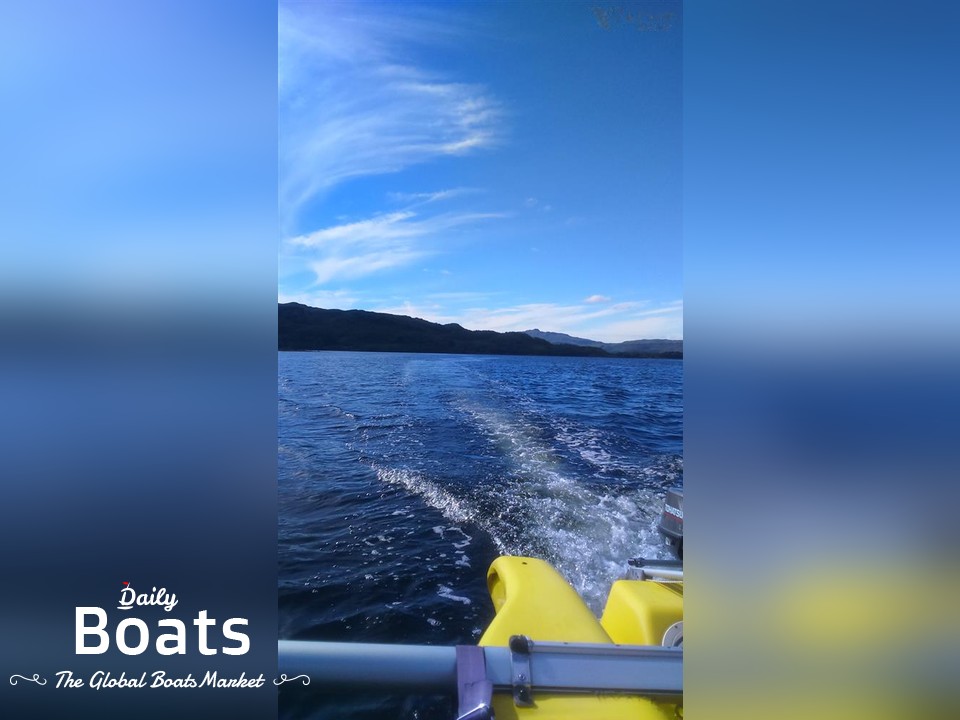 2002 Virus Boats Magnum 21 for sale. View price, photos and Buy 2002 ...