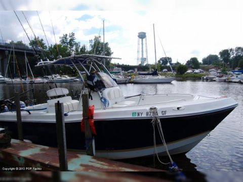 2004 Polar 23