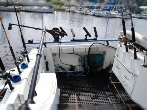 2004 Polar 23 for sale