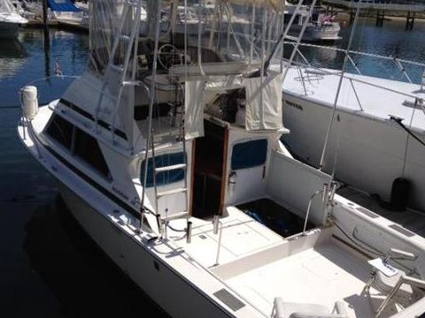 1978 Bertram Flybridge Cruiser satın almak