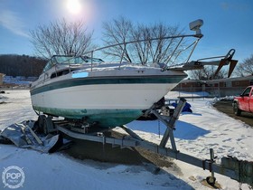 Купити 1989 Sea Ray Boats 260