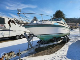 1989 Sea Ray Boats 260 for sale