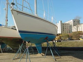 Købe 1987 Catalina Yachts 34