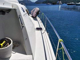 Buy 2013 Arno Leopard 39