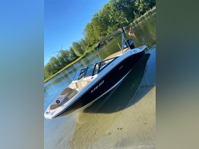 Osta 2020 Sea Ray Boats 190 Spx