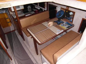1995 Fayne Limbo Boat Corp 40 kopen