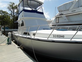 Buy 1995 Fayne Limbo Boat Corp 40