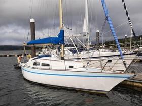 Buy 1973 She C32