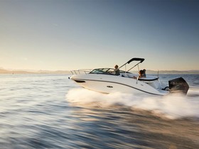 Buy 2022 Sea Ray Boats 230 Sun Sport