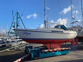 1979 Hallberg Rassy 26 kopen