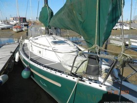 1981 Freedom 35 for sale