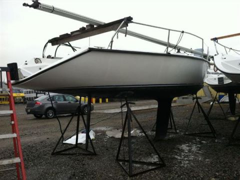 Colgate 26