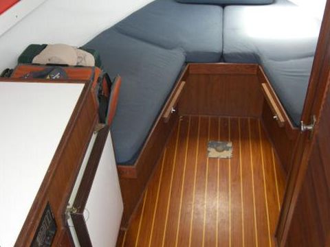 1979 Topaz Express
