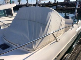 2011 Capelli Boats 25 Wa for sale